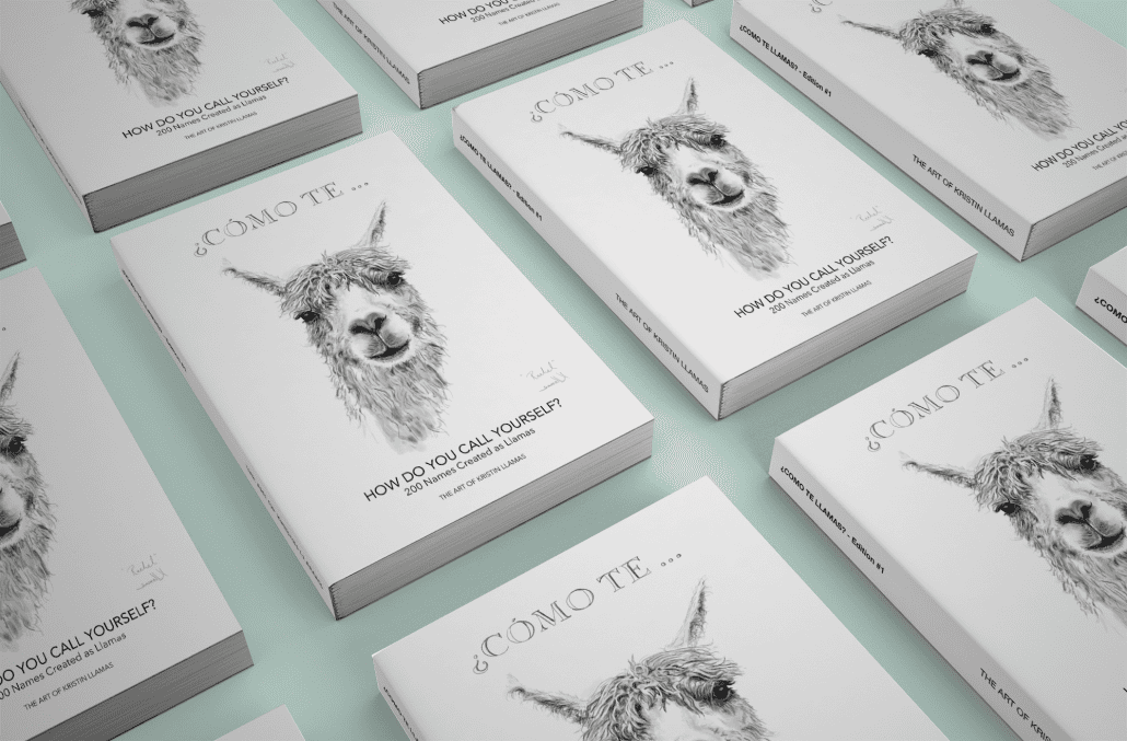 llama art book by kristin llamas