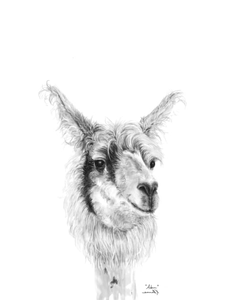 llama wall art by nashville artist kristin llamas