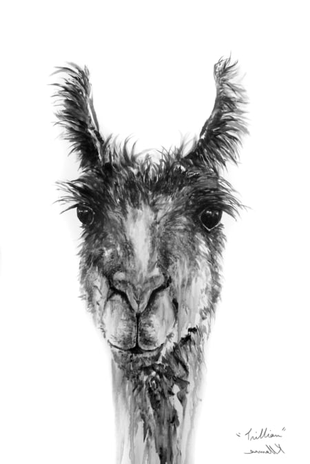 llama painting by nashville artist kristin llamas