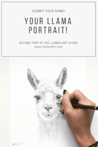 llama portrait by kristin llamas nashville artist