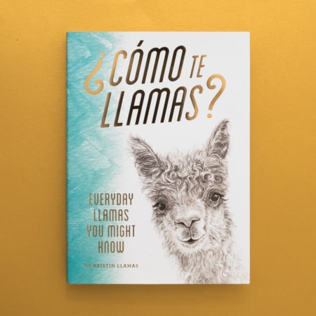 Como te Llamas: Everyday Llamas You Might Know