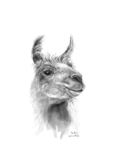 llama art by kristin llamas