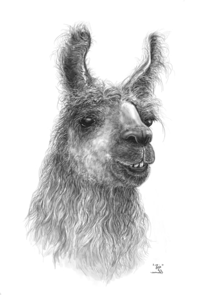 rojo llama art by nashville artist kristin llamas