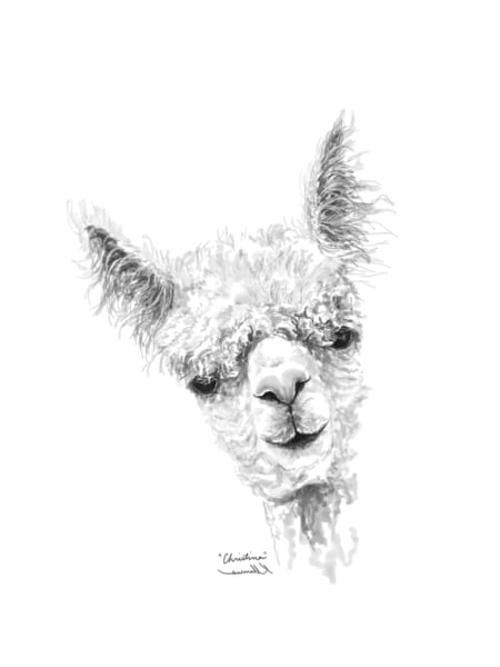 llama art by Kristin Llamas