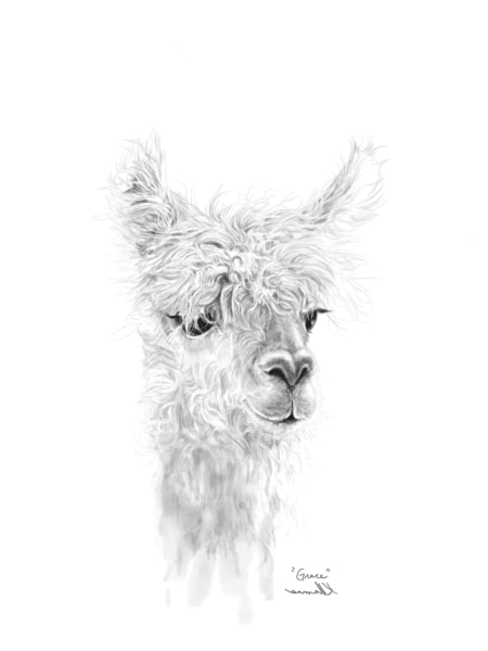 cute alpaca drawing