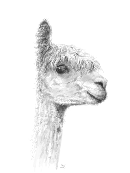piper llama wall art nashville